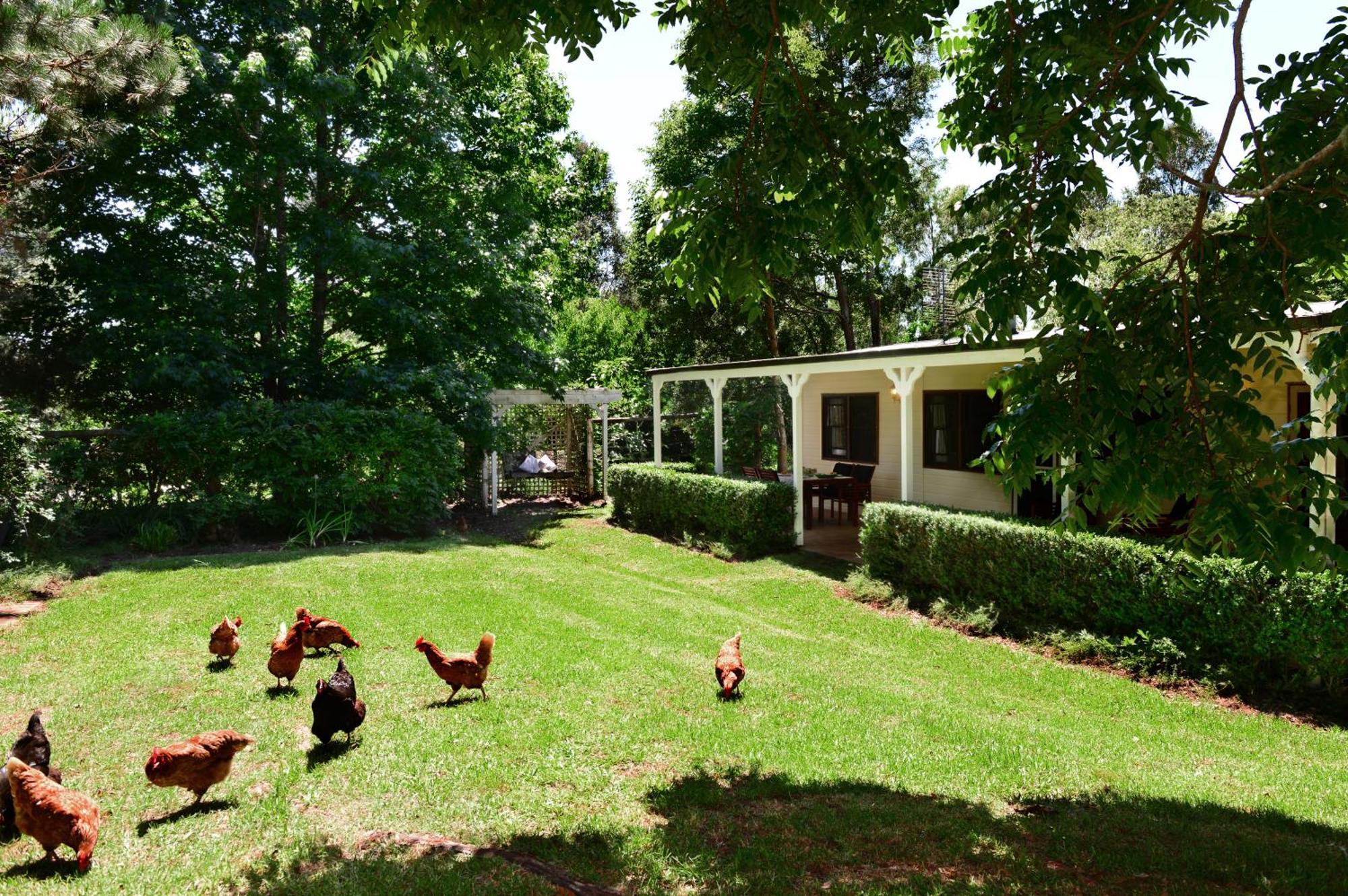 Crystal Creek Meadows Bed & Breakfast 5*
